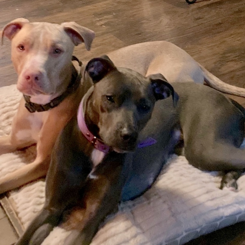 Meet your Posher(s) Ray & Rae - Picture 16 of 16